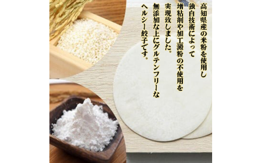 有機黒ニンニクと四万十豚で作った最高級餃子（6個x2パック）完全無添加 12個(6個x2パック)