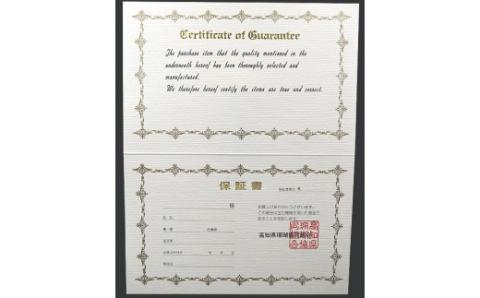 パール片手数珠 レディース 房正絹紫 【高知】