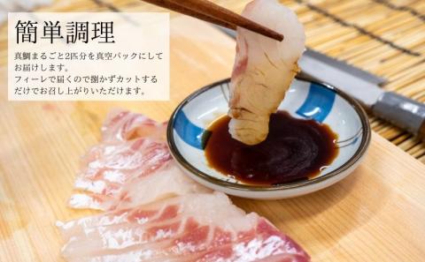 漁師自慢の逸品「須崎舞鯛」 お刺身用 2匹分