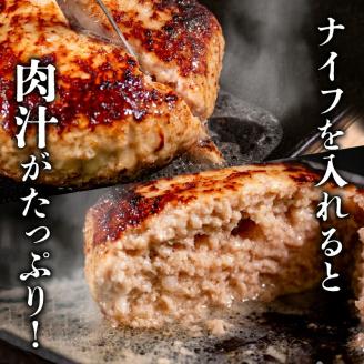 ハンバーグ 2.4kg 半年 6回 定期便 【四万十ポーク使用】