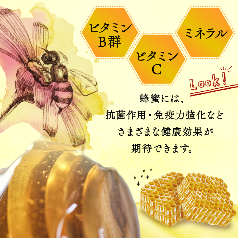 【限定10セット！】須崎市安和地区 2023年採蜜 日本ハチミツ２本セット！AWA001