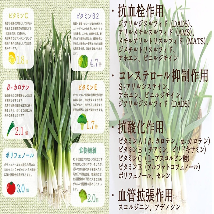  有機葉ニンニクと四万十豚で作った最高級餃子（6個x2パック）完全無添加