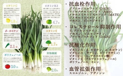 葉にんにくぬた豪華４種食べ比べ詰合せセット土佐伝統健康調味料