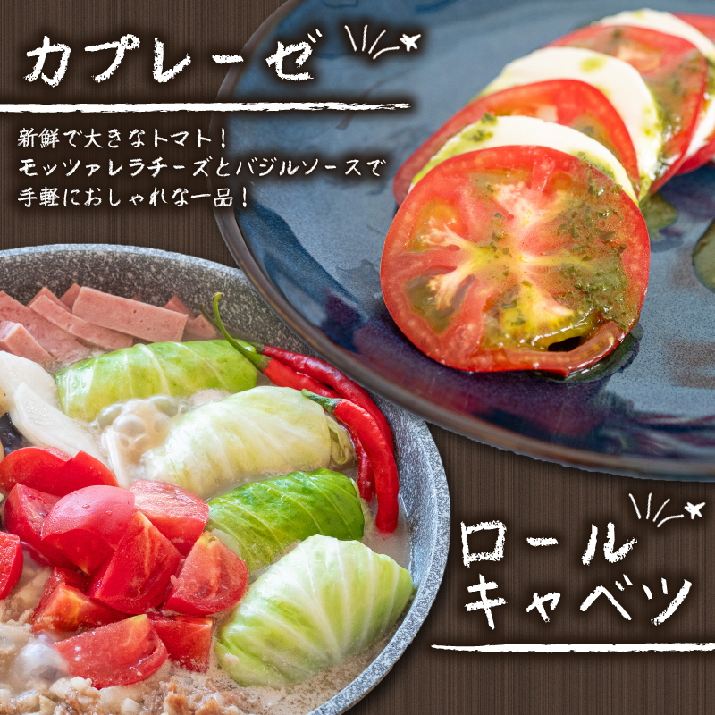 南国高知よりまごころ野菜セット 野菜でお家ごはん 【6～8品目】