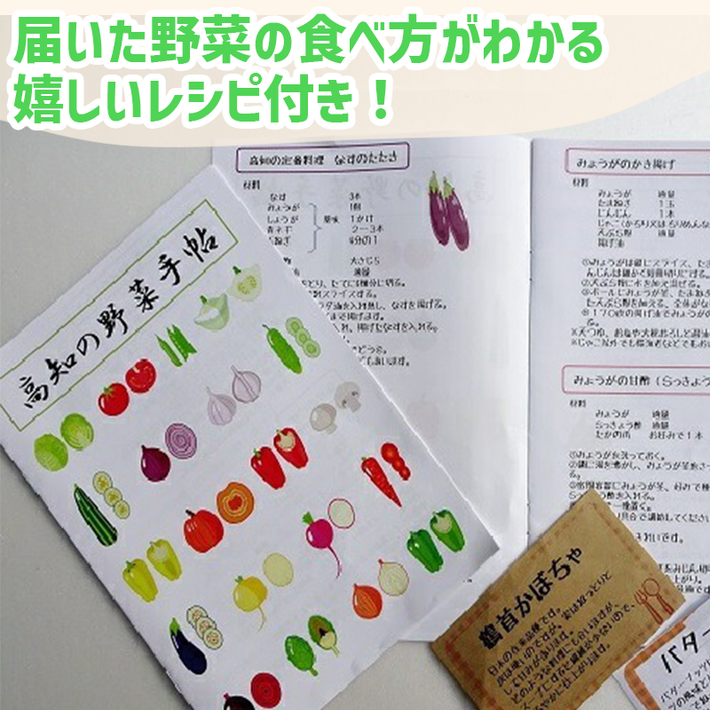 【年末年始限定】毎月の野菜便り【高知の野菜6回お届け定期便』毎月7~10品