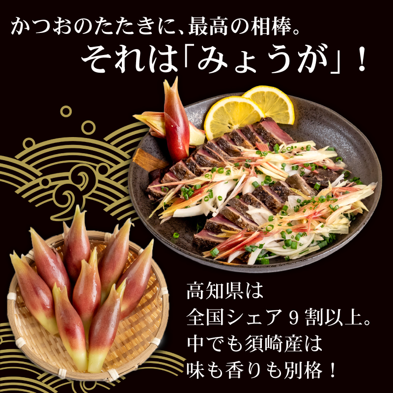 秀品 すさきのみょうが 1kg 生産量日本一 産地直送 秀品 かつおのたたき 薬味 高知県 高知 須崎 須崎市 すさき みょうが 茗荷 かつおたたき 藁焼き鰹  ぽん酢 玉ねぎ ねぎ しょうが 甘酢漬け 酢の物 味噌汁 冷や汁 そうめん 漬物 冷奴 寿司 うどん 天ぷら