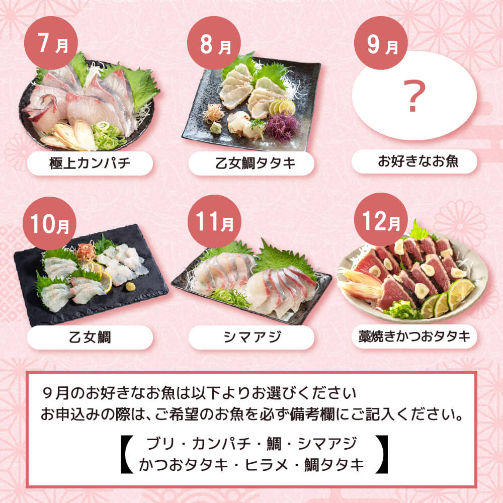 鮮魚お刺身定期便 1年 12回コース【小島水産】