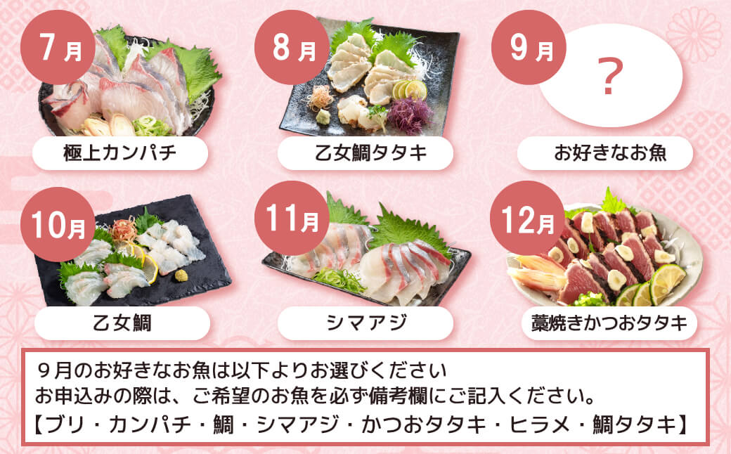 刺身 定期便 【 12ヶ月 】 小島水産 がお届けする！ 美味しい お刺身 1年 コース ( 鮮魚 下処理済 ) 産地直送 12回 新鮮 鮮魚 （ 鰤 ブリ 勘八 カンパチ 鯛 乙女鯛 真鯛 マダイ かつおのタタキ 鰹 カツオ 鰹のたたき 縞鯵 シマアジ ） 刺身 高知県 須崎市