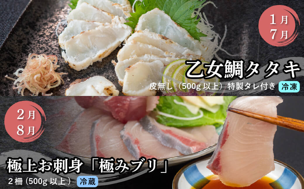 刺身 定期便 6ヶ月 小島水産 がお届けする！ 美味しい お刺身 大容量 コース ( 鮮魚 下処理済 ) 産地直送 半年 新鮮 鮮魚 ( 6回 お楽しみ 定期便 お刺身 かつお タタキ カツオ 鰹 鯛 たい 真鯛 タイ 鰤 ぶり ブリ 勘八 カンパチ かんぱち シマアジ 縞鯵 しまあじ 高級魚 魚貝 )  高知県 須崎市 KS28000-3x
