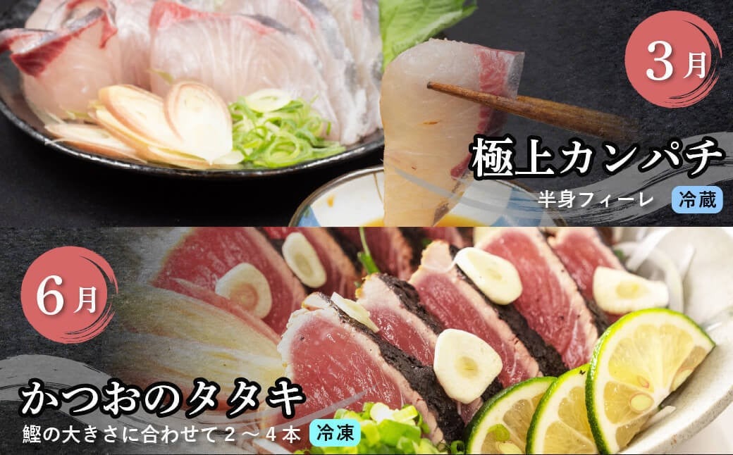 【 4回 定期便 】 厳選 海鮮定期便 小島水産 刺身 カンパチ カツオ 鯛 ブリ 4ヶ月 かつお わら焼き たたき  | 藁焼き カツオ 鰹 高知 かつおのたたき 勘八 鰤 タイ 4回定期便 かつおたたき定期便 魚定期便 小島水産 高知県 須崎市