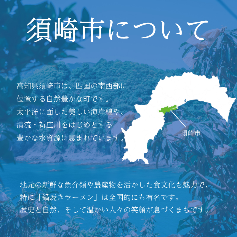【早期予約】 熟成土佐ぶんたん 2026年度収穫分 【フルーツ】