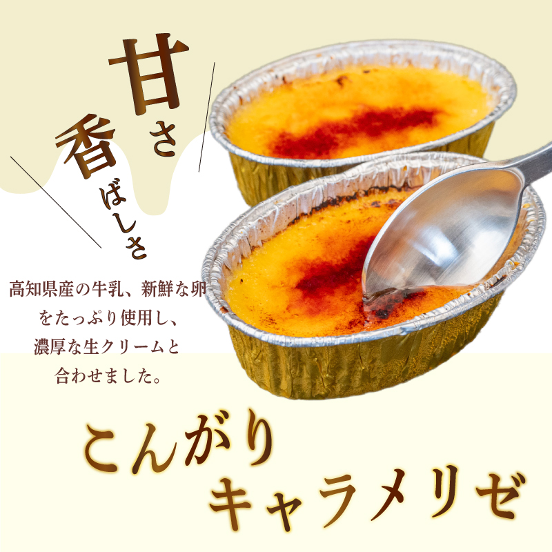 ３ヶ月 定期便 濃厚 焦がしクリームブリュレ 9個 冷凍 アイス プリン カタラーナ スイーツ デザート 卵 お菓子 洋菓子 焼き菓子 氷菓子 ギフト おやつ キャラメル ミルク個 牛乳 生クリーム 包装 贈答 飯テロ 夜食 贅沢 ご褒美 贈り物 お取り寄せグルメ アフタヌーンティー 高知県 須崎 【ライフ】