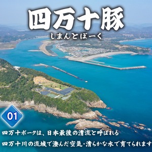  四万十ポークカツ【特製たれ付き】6人前 【道の駅須崎】
