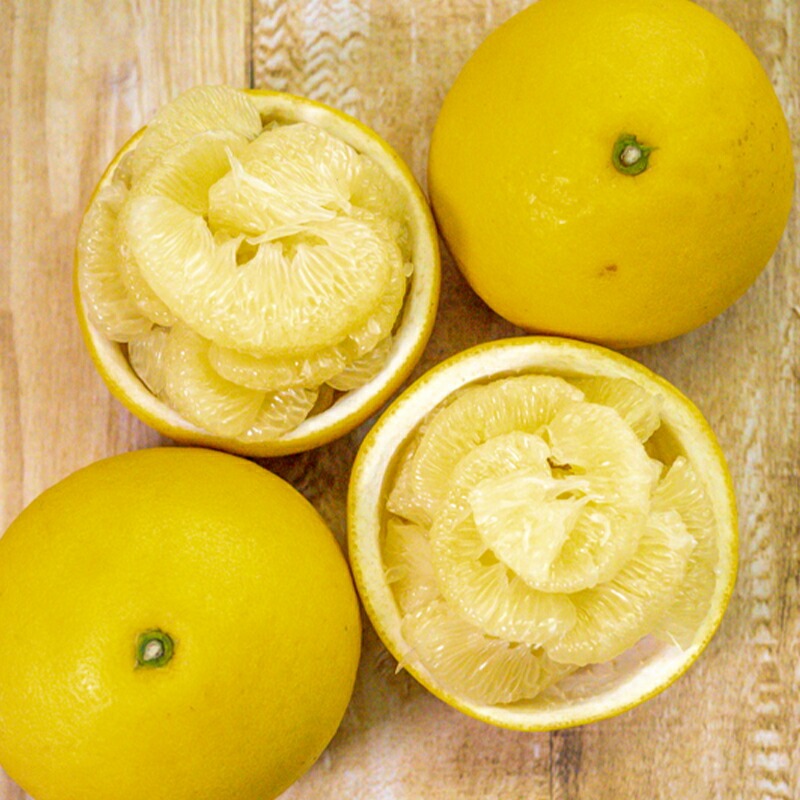 【 先行予約 】 土佐文旦 5kg 高知県産 柑橘 フルーツ 文旦 ぶんたん ブンタン 分担 果物 みかん 文旦 産地直送 高知県 須崎 須崎市 南国高知からの贈り物 ME023-x