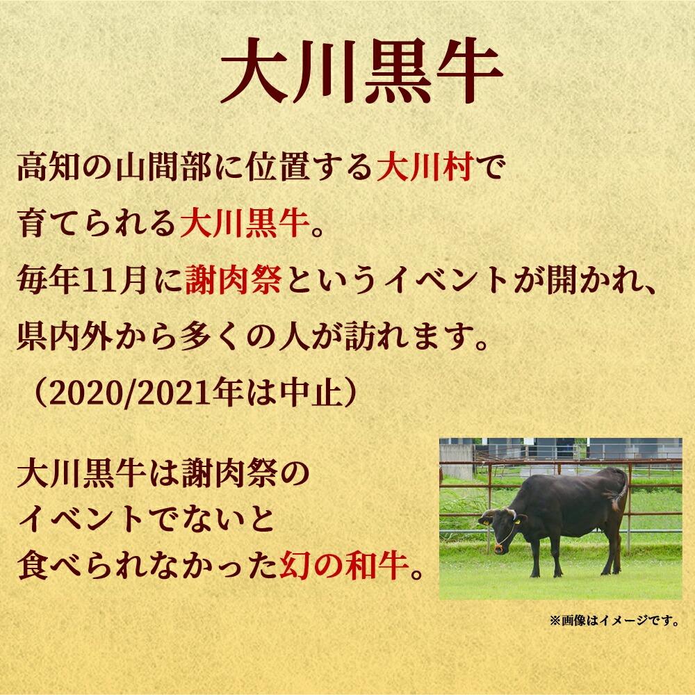 大川牛黒毛和牛 モモステーキ 400g ( 200g x 2個 ) 国産 黒毛和牛 A5 A4 ランク 肉 牛肉 国産 黒毛 和牛 モモ ステーキ 赤身 希少 幻の大川黒毛和牛 ブランド牛 焼肉 ブロック セット 人気 ランキング ギフト 贈答用 冷凍 小分け 高知県 須崎市 ME057