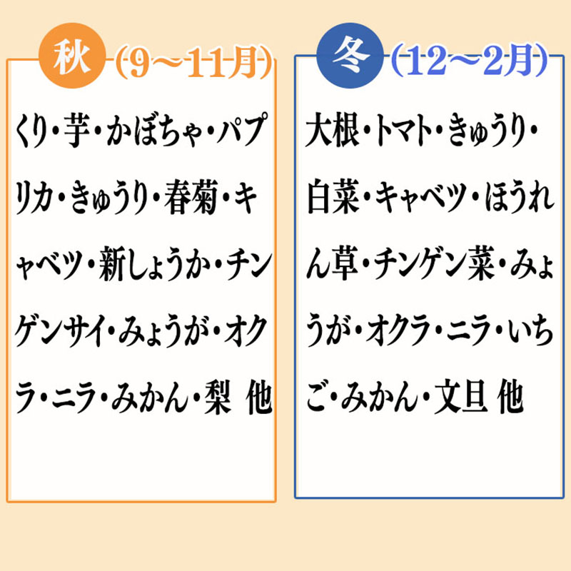 野菜 8 品目 | 季節 旬 野菜 詰め合せ 国産 季節 旬 おまかせ 産地直送 春野菜 夏野菜 秋野菜 きのこ 葉物 果物 果菜 根菜 冷蔵 野菜室 食 栄養食 加工品 季節限定 山菜 ブロッコリー たまねぎ サラダ トマト 高知県 須崎市 ME062_x