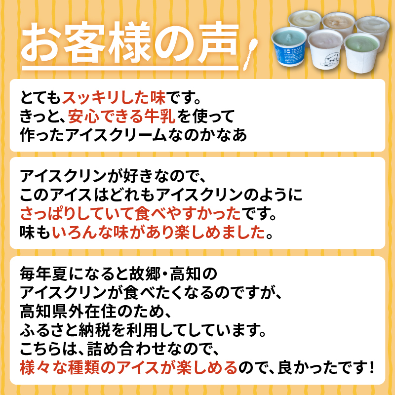 高知 名物 アイスクリン ふるさとの味アイス 24個 セット 【 ゆず 文旦 甘酒 ミルク いちごミルク 生姜 バニラ 抹茶 いちご チョコ ソーダ 人気 カップ スイーツ バラエティ おやつ 詰め合わせ デザート 詰合せ 】 【道の駅須崎】