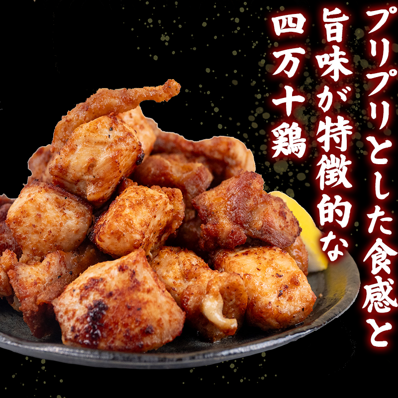  四万十鶏 唐揚げ用【特製たれ漬け】１６人前 【道の駅須崎】