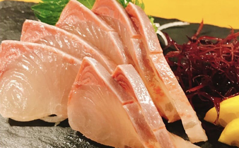 4ヶ月 連続 定期便 こだわり お魚 コース