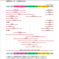 【2026年2月より順次発送】 定期便！偶数月発送 南国土佐の新鮮お野菜詰め合わせ (7～8品目 年6回】