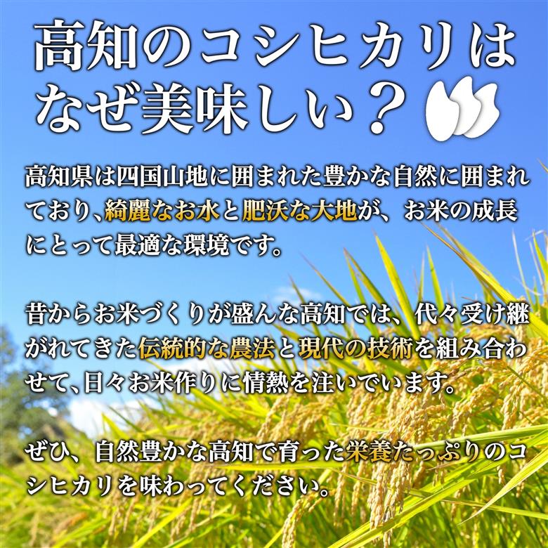 【 先行 予約 】高知県産 コシヒカリ 10ｋｇNPO012-3x
