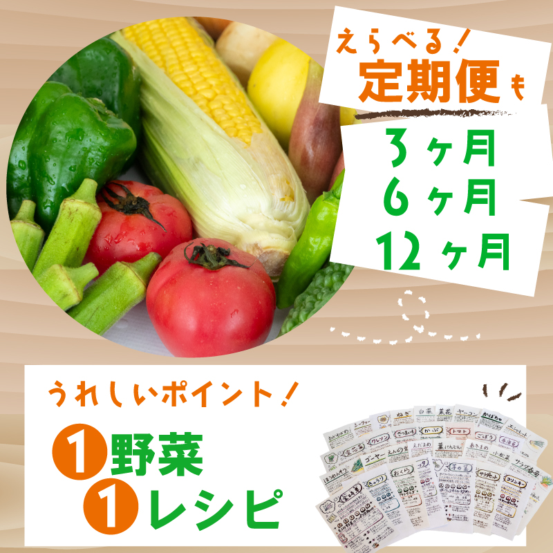 野菜定期便 7品~8品 12ヵ月