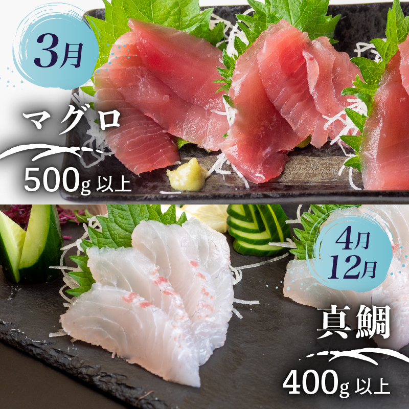 【鮮魚定期便 】 旬 の 刺身 定期便 6回 コース 野島水産 が お届け！ | 漁師町定期便 下処理済み 鮮魚 刺し身定期便 かつお かつおのたたき 藁焼き タタキ 鯛 真鯛 マグロ 牡蠣 しらす 伊勢海老 セット 高知 産地直送 たい まだい 半年 6回 高知県 須崎市