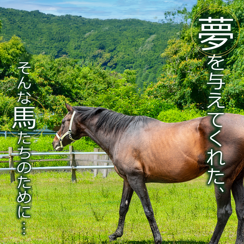 【返礼品なし】 競走馬 引退馬はどこへ？ 黒潮友馬会応援 【5千円コース】