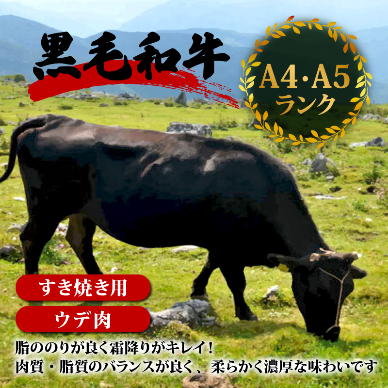 土佐黒毛和牛A5?A4等級【特撰ウデ肉】すき焼用８００ｇ 【土佐黒毛和牛和牛】