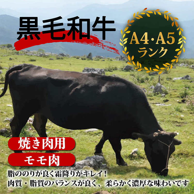 土佐 黒毛 和牛 焼肉用 800g 【 400g × 2パック 】