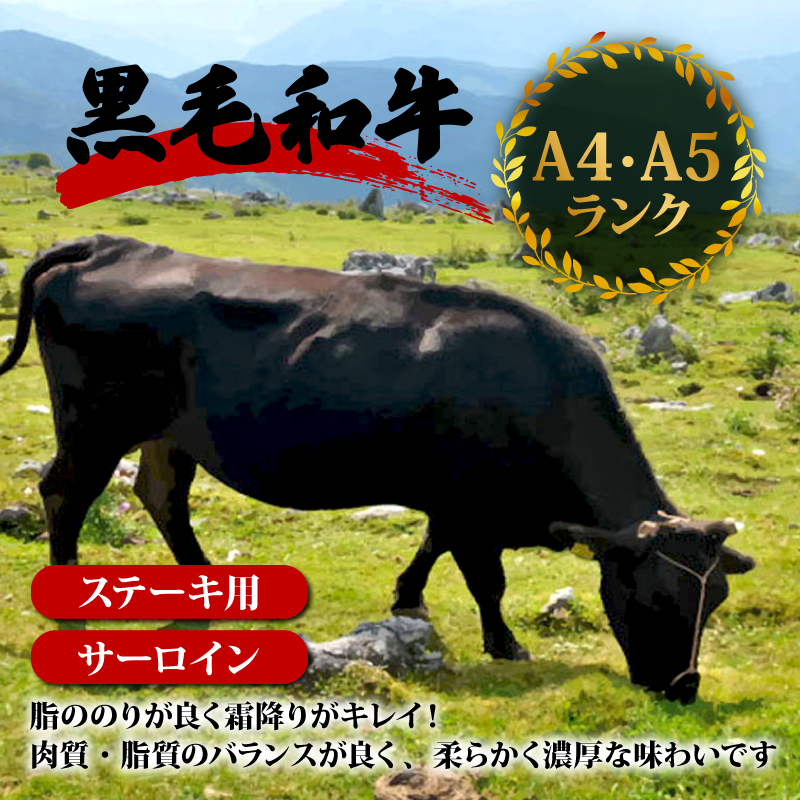 サーロインステーキ 440g 【 220g × 2枚 】 土佐 黒毛 和牛