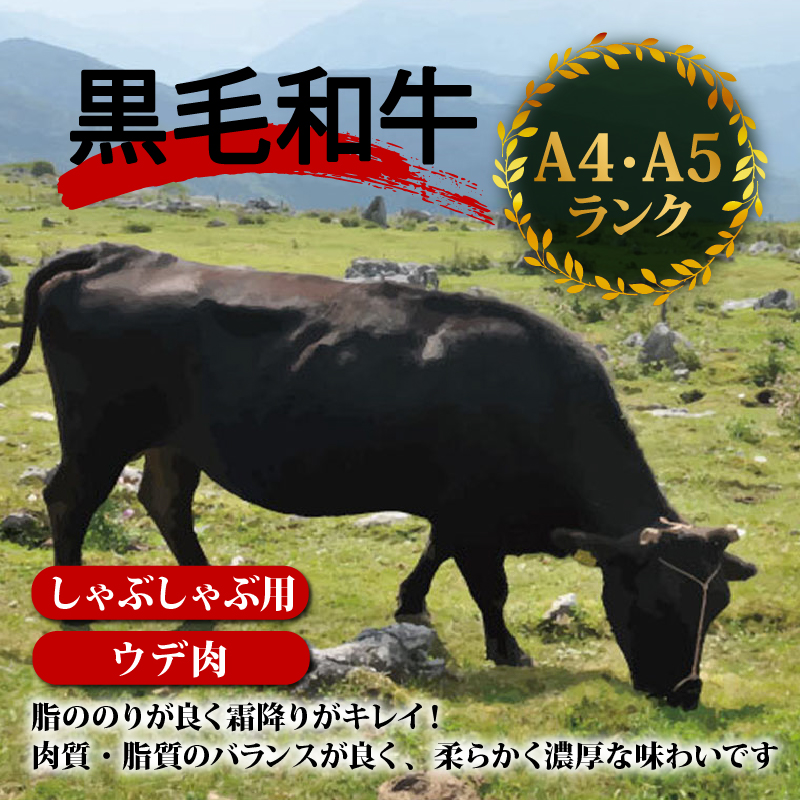 土佐 黒毛 和牛 しゃぶしゃぶ用 1.2kg 【 600g × 2パック 】