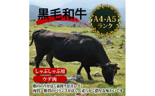 【定期3回】土佐黒毛和牛ウデ肉しゃぶしゃぶ用 計3.6kg【1.2kg×3ヶ月連続お届け】 3Cコース