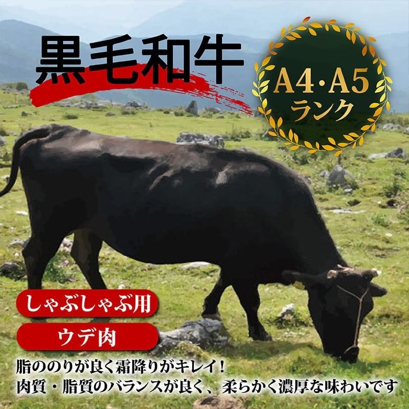 【定期4回】土佐黒毛和牛ウデ肉しゃぶしゃぶ用 計4.8kg【1.2kg×4ヶ月連続お届け】 3Dコース