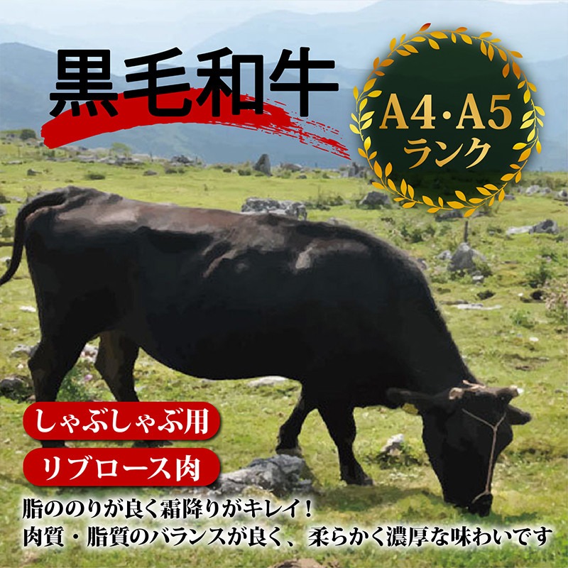 【定期4回】土佐 黒毛 和牛 しゃぶしゃぶ用 計2kg【500g×4ヶ月連続お届け】3Xコース
