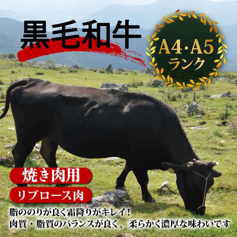 【定期4回】土佐 黒毛 和牛 焼肉用 計2kg【500g×4ヶ月連続お届け】