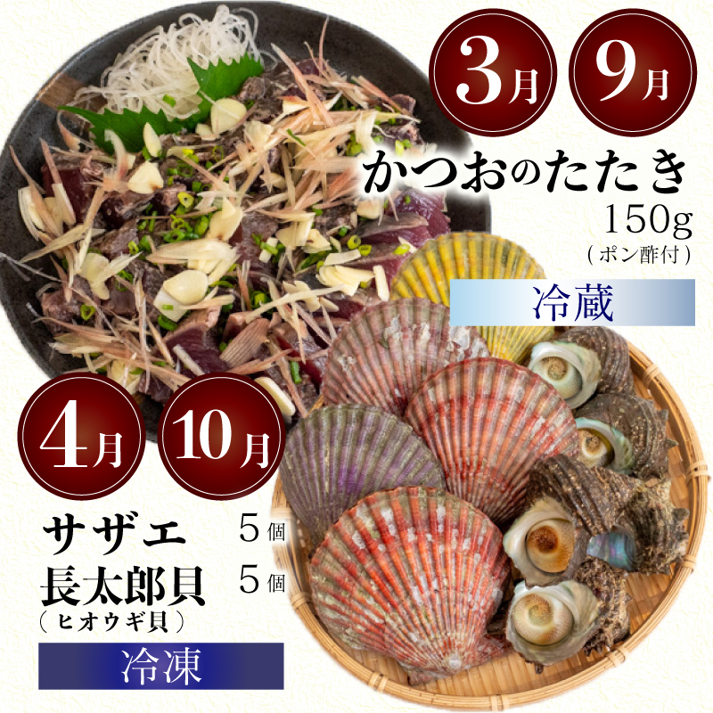 6ヶ月 定期便 旬 魚 刺身定期便 鮮魚