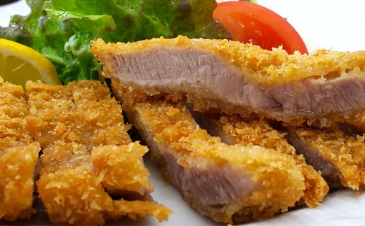 四万十鶏 唐揚げ用【特製たれ漬け】・四万十ポーク 豚カツ用【特製たれ付き】定期便 【道の駅須崎】