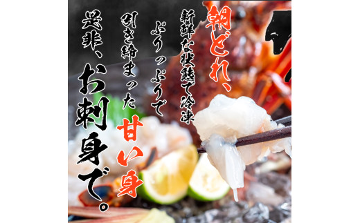 【早期予約】 【12月30日着】 特大 伊勢海老 5匹 3000g ～ 以上 冷凍 ( 特大サイズ 急速冷凍 えび エビ 高級 鮮魚 海鮮 魚介 刺身 焼き物 汁物 ギフト 贈答 贈り物 祝い 歳暮 中元 年末 年始 早期 予約 ) IKY070 5匹3kg以上(年末30日配送)