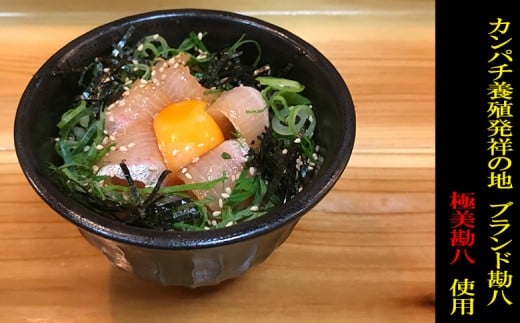 漬け丼 海鮮 勘八 ( カンパチ ) 鯛 ( たい ) 丼 セット 詰め合わせ 極美勘八 海援鯛 産地直送 お茶漬け 高知県 須崎市 MM006