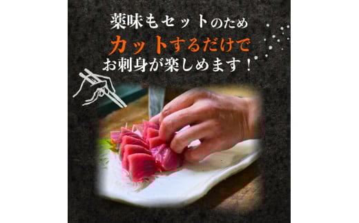 朝どれ地魚 ３～４種類 3～5人前 お刺身 セット 生すり身付き YS002_x 3～5人前