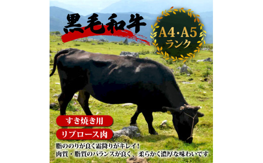 【定期6回】土佐 黒毛 和牛 すき焼き用 計6kg【1kg×6ヶ月連続お届け】4Kコース