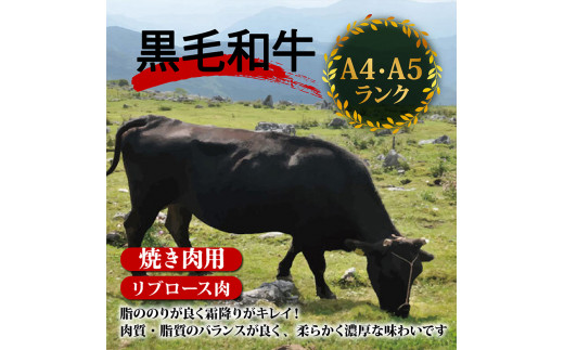 【定期4回】土佐 黒毛 和牛 焼肉用 計2kg【500g×4ヶ月連続お届け】