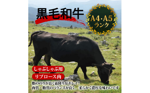 【定期6回】土佐 黒毛 和牛 しゃぶしゃぶ用 計3kg【500g×6ヶ月連続お届け】3Yコース