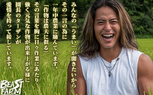 高知県産コシヒカリ　3kg 3kg