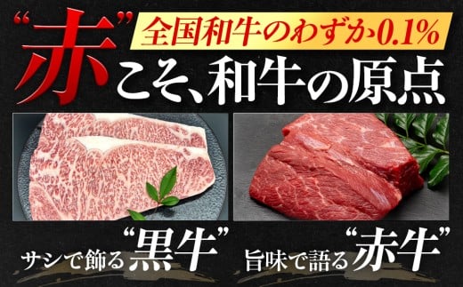 幻の和牛 土佐あかうし ハンバーグ 2kg 200g x 10個 冷凍 四万十ポーク 合い挽き 牛肉 豚肉 あか牛 玉ねぎ 玉葱 個包装 人気ハンバーグ ランキング 神戸牛 松阪牛 近江牛 黒毛和牛 より数が少ない 国産和牛 惣菜 おかず 一万円 10000円 1万円 いちまんえん 冷凍 高知県 須崎市 お惣菜 はんばーぐ 赤牛ハンバーグ あか牛ハンバーグ hannba-gu SNM033