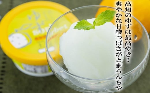 ゆずシャーベット  6個 セット 高知県産 ゆず 爽やか 甘酸っぱい 高知アイス おいしいんだもの ご当地アイス 香り アイスクリーム アイス  スイーツ デザート おやつ 冷蔵 高知県 須崎市 ICE001 6個セット