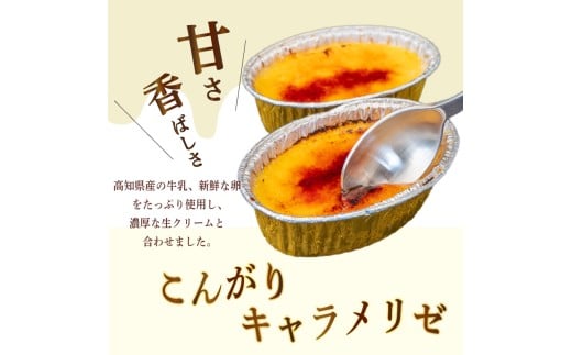 ３ヶ月 定期便 濃厚 焦がしクリームブリュレ 9個 冷凍 アイス プリン カタラーナ スイーツ デザート 卵 お菓子 洋菓子 焼き菓子 氷菓子 ギフト おやつ キャラメル ミルク個 牛乳 生クリーム 包装 贈答 飯テロ 夜食 贅沢 ご褒美 贈り物 お取り寄せグルメ アフタヌーンティー 高知県 須崎 【ライフ】 クリームブリュレ定期便9個×3ヶ月