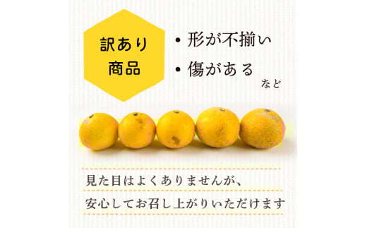 【早期予約 5月中旬～発送】 【 訳あり 】 小夏 ( 日向夏 ) 5kg 産地直送 ニューサマーオレンジ 無印 等級  旬 高知 県 須崎 産  柑橘 初夏 フルーツ 果物 こなつ コナツ ひゅうが夏 みかん オレンジ HK001 訳あり（無印）