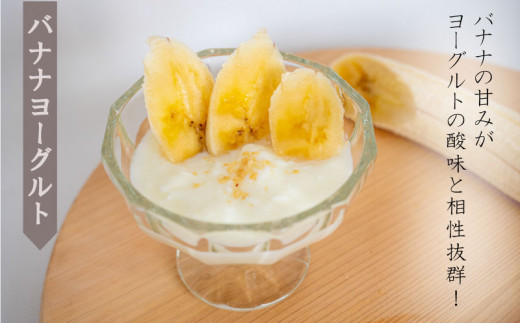 高級 バナナ 500g 以上 国産 有機栽培 高知初 糖度 25度以上 果物 フルーツ 高知県 須崎市